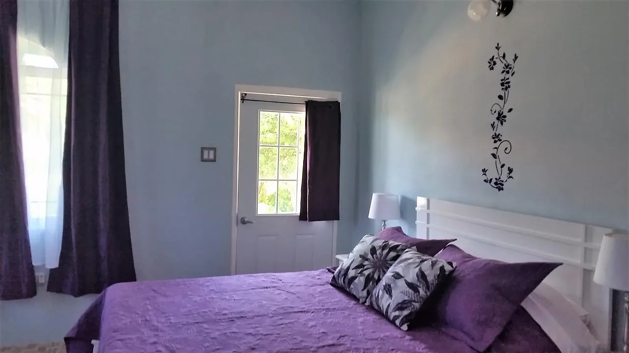 Bailey'S Bed And Breakfast Runaway Bay Jamaica
